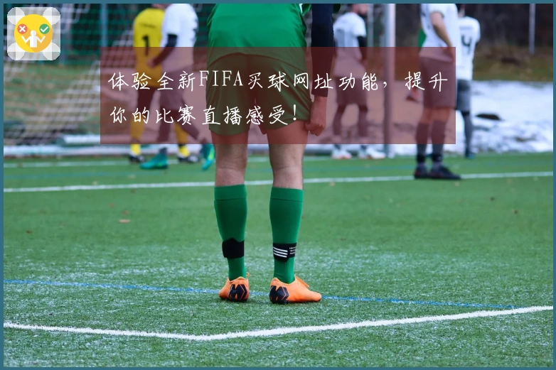 体验全新FIFA买球网址功能，提升你的比赛直播感受！