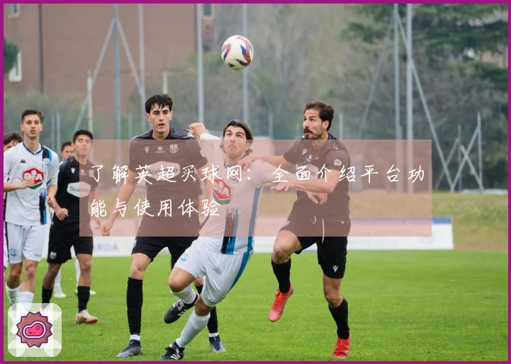 了解英超买球网：全面介绍平台功能与使用体验