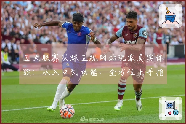 五大联赛买球正规网站玩家真实体验：从入口到功能，全方位上手指南