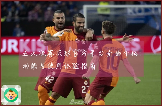 五大联赛买球官方平台全面介绍：功能与使用体验指南