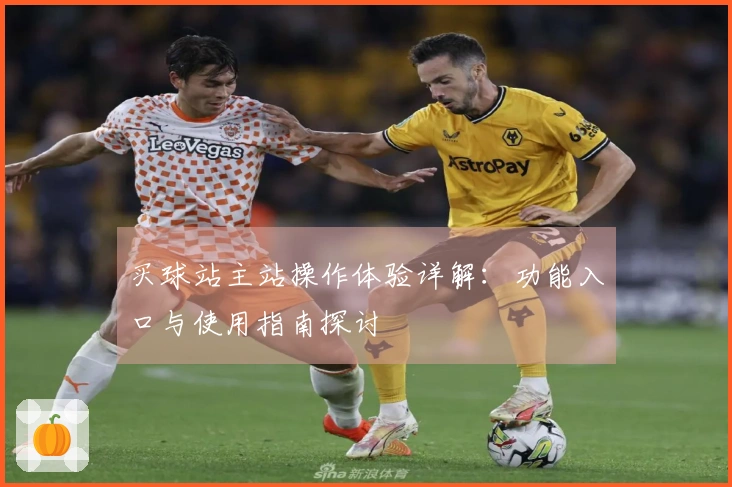 买球站主站操作体验详解：功能入口与使用指南探讨